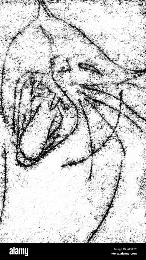 Cat Mouth Drawing Nehru Memorial