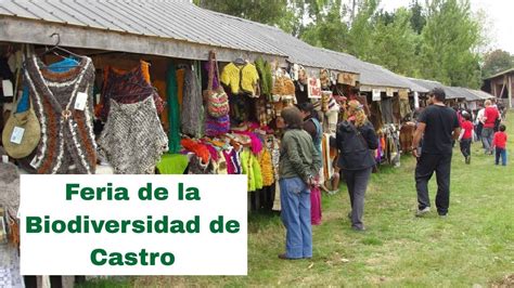 Feria De La Biodiversidad De Castro Chiloe Youtube