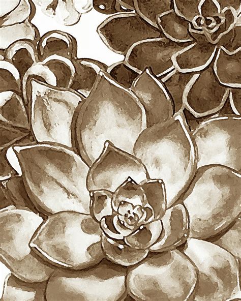 Chocolate Coffee Brown Watercolor Succulent Plants Wall Garden Design