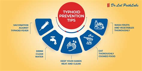 Understanding Typhoid Fever Causes Symptoms And Diagnosis Dr Lal Pathlabs