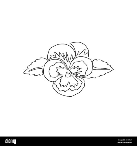 One Continuous Line Drawing Beauty Fresh Viola Hybrid For Garden Logo