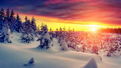 Fonds D Cran Coucher De Soleil L Hiver La Neige Paisse Les Arbres