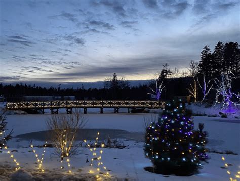 Ultimate Guide To 2024 Gardens Aglow Maine In Boothbay