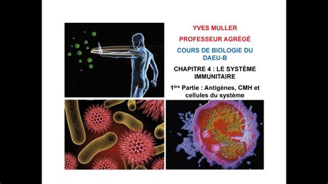 Chapitre Re Partie Antig Nes Cmh Et Cellules Du Syst Me