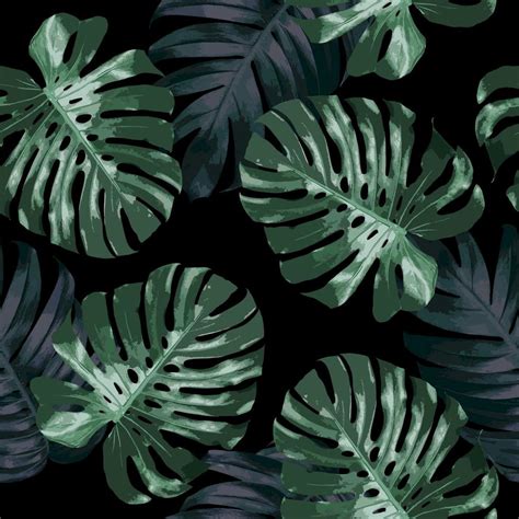 Seamless Pattern Design Of Tropical Leaves On Black Background Monstera