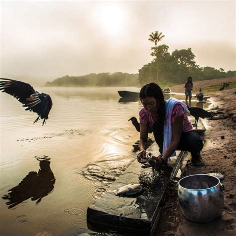 Photo Journal Munduruku Under Threat Sinchi Foundation