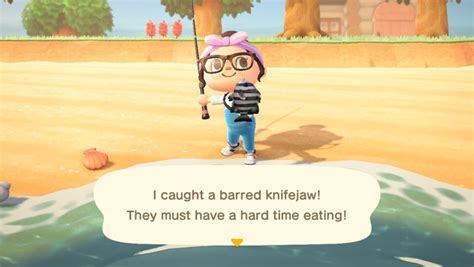 How To Find And Catch Rare Fish In Animal Crossing