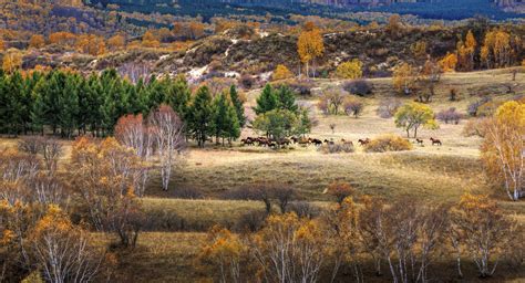Осень в Китае: 17 фотографий — Российское фото
