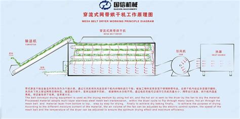 Continuous Hot Air Heating Hemp Drying Machine For Extracting Oil Cbd