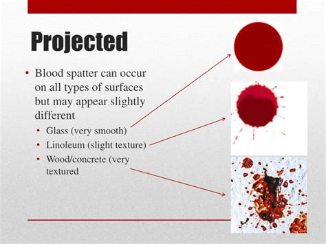 PPT - Blood Spatter Analysis PowerPoint Presentation - ID:1963294