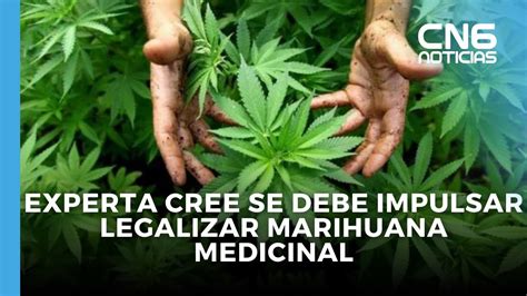 Experta Cree Se Debe Impulsar Legalizar Marihuana Medicinal Youtube