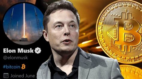 El Efecto Musk El Empresario Impulsa El Valor Del Bitcoin