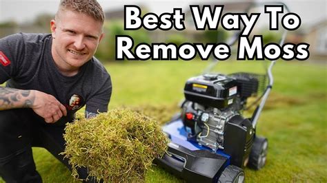 How To Remove Moss From A Lawn Unbelievable 2 Stage Method YouTube