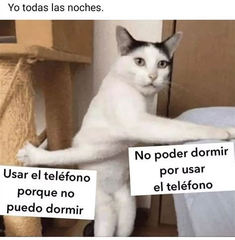 Yo Todas Las Noches Usar El Tel Fono Porque No Puedo Dormir No Poder