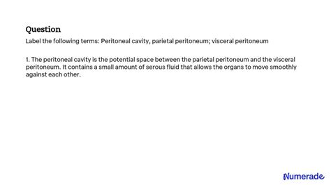 Solved Label The Following Terms Peritoneal Cavity Parietal