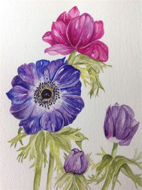 Original Watercolour Painting ANEMONES Watercolour Flowers Wall Art