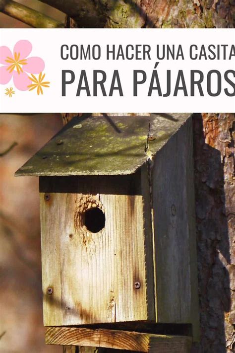 Cómo Crear Una Casa Nido Para Pájaros En Tu Jardín Guía Completa De Cuidados Plantasmanía 🌱 🌱