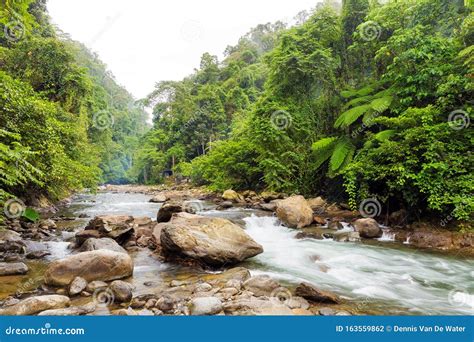 Bukit Lawang River Stock Photo Image Of Jungle Lawang