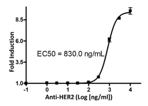 ADCP Bioassay Effector Cell FcγRIIa H Variant NFAT Luciferase