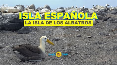 Isla Espa Ola Con Sus Sonidos Originales Youtube