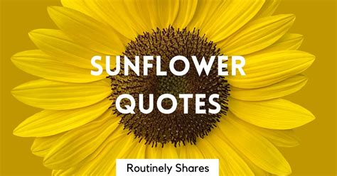 100 Happy and Short Sunflower Quotes for Instagram - Routinely Shares