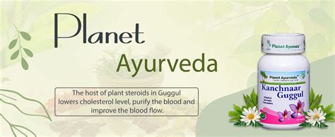 Planet Ayurveda Kanchnaar Guggul Herbal Tablets 100