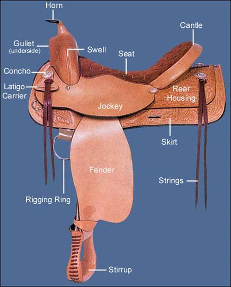 Diagram Of A Western Saddle