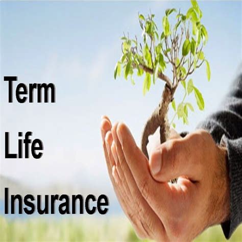 Instant Term Life Insurance Quotes 13 Quotesbae