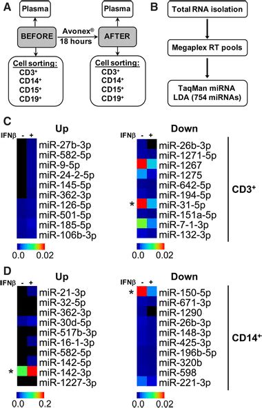 Identification Of Type I IFN Regulated MiRNAs In Primary Human T Cells