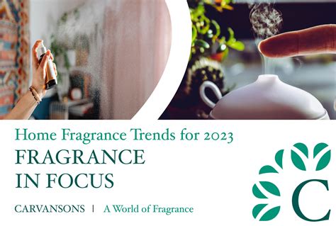 Home Fragrance Trends Best Air Freshener And Room Scents