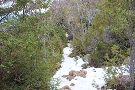 Hiking down Mount Wellington in Hobart - Jetsetting Fools