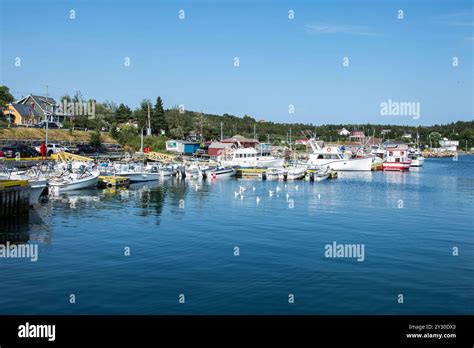 Fishing Boats In The Cove In Dildo Newfoundland Labrador Canada Stock Photo Alamy