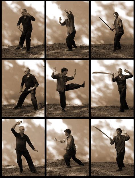 Tai Ji Quan Tai Chi Qi Gong Nimes Gard Cevennes