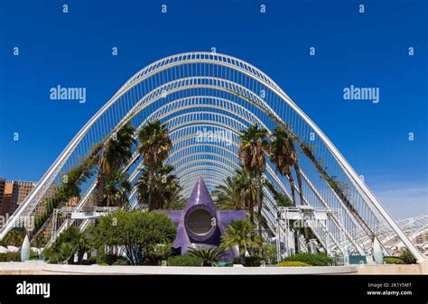 Lumbracle Gardens Umbracle Gardens At City Of Arts And Sciences In