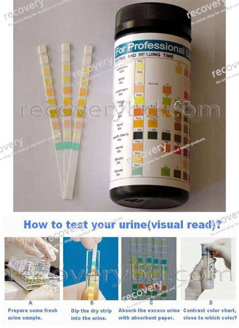 Multiple Urine Test Strips Urine Reagent Strips Urine Dipsticks