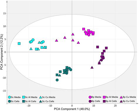 Principal Component Analysis Scores Plot Of Gc Ms Metabolite Profiles Download Scientific