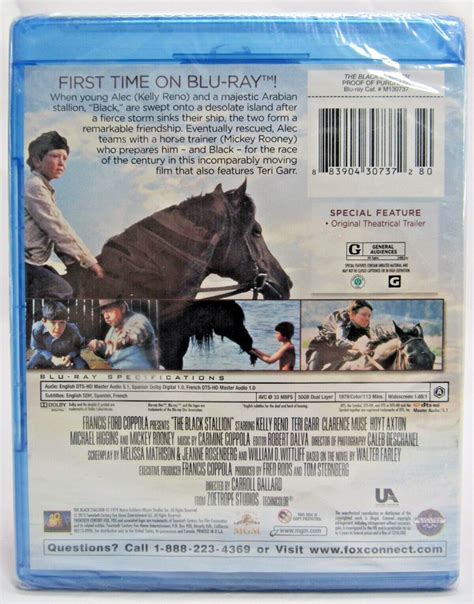 The Black Stallion On Blu Ray Kelly Reno Mickey Rooney Teri Garr