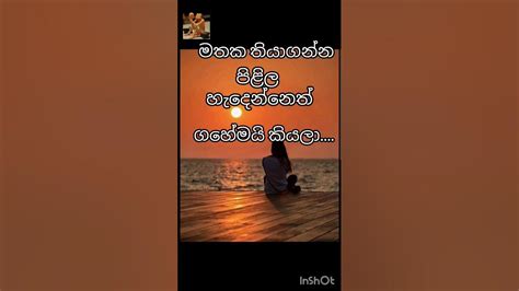 මතක තියාගන්න🤔මියෙන හිරුhearttouchinglove Quotes Lovestatus