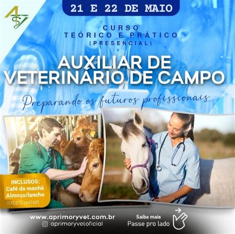 Auxiliar De VeterinÁrio De Grandes Animais O Primeiro Passo De Uma