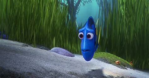 How Did Dory Lose Her Parents Finding Dory Explains The Mystery