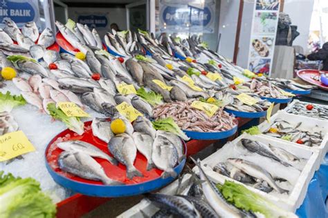 El Pescado Miente En Un Paquete Azul Foto De Archivo Imagen De Pesca