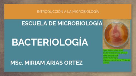 Bacteriología