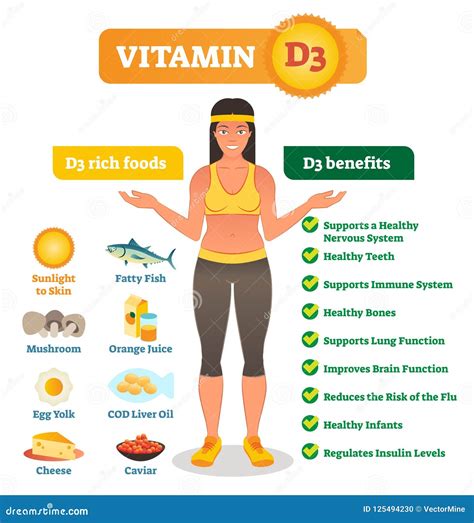 Ejemplo Del Vector De La Vitamina D Lista Con Sus Ventajas Y Fuente De