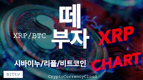 리플 시바이누 비트코인 차트분석ㅣ똑똑한 소비자는 Xrp를 얻는다 Youtube