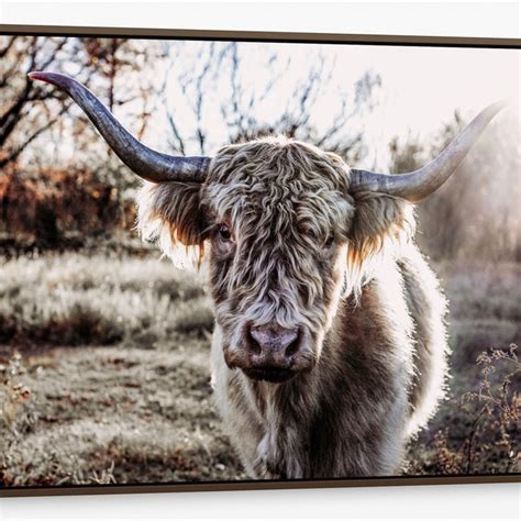 Highland Cow Metal Frame Art - Etsy