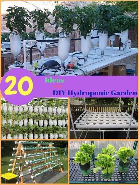 Go Green And Create Your Own Hydroponics System By Growing Plants In