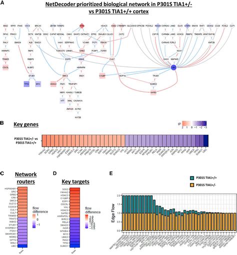 Disease Phenotype In Neuroprotected Ps19 Mice Is Regulated By A