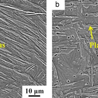 SEM Microstructure Of The CPTi Samples Produced By A SLM And B