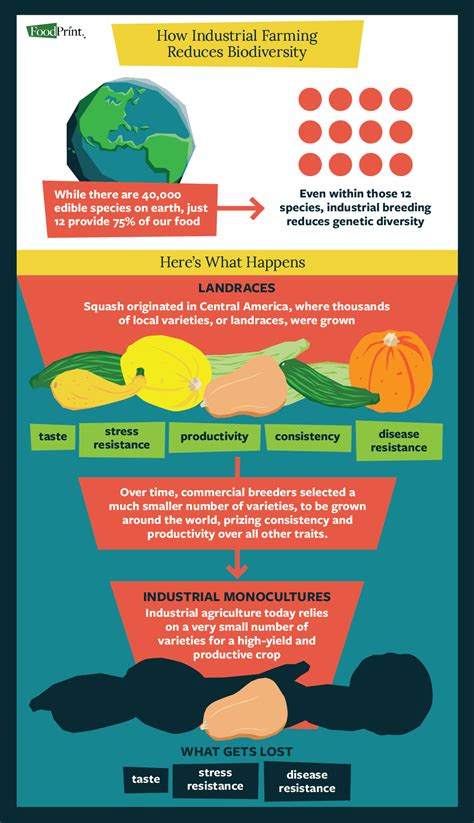 Biodiversity And Agriculture FoodPrint