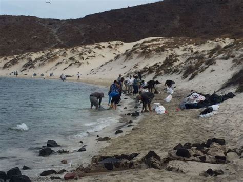 La Jornada Maya Nacional Astrid S Nchez Cierran Playa Balandra